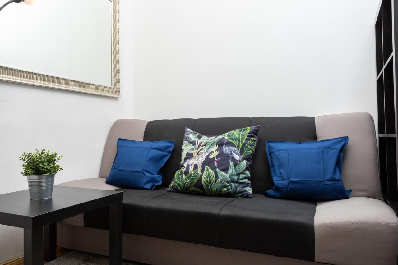 Blueberry Apartment At Buda Castle 부다페스트 외부 사진
